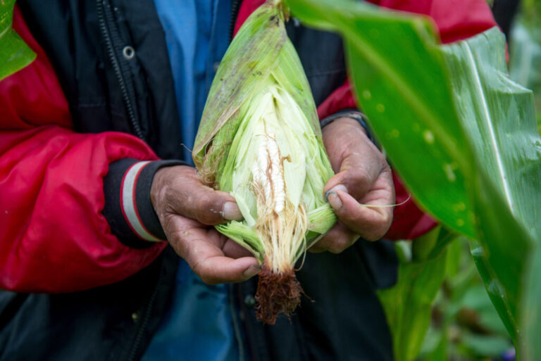 Tercer Congreso Interamericano de Agua, Suelo y Agrobiodiversidad / Por Alicia Valverde