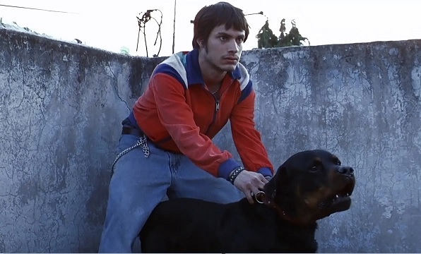 Adquiere MUBI derechos de Amores Perros y prepara reestreno en 4K en cines