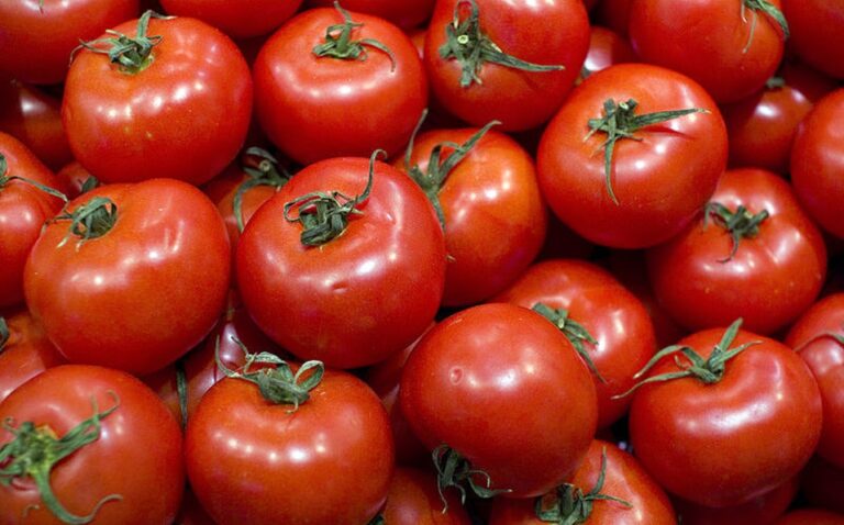 Injusta la cuota compensatoria de EU al tomate mexicano: Gobierno mexicano