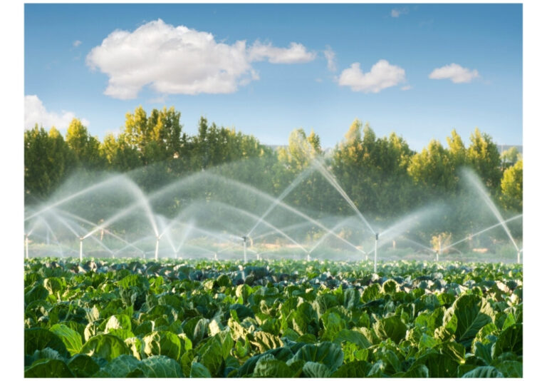 Urge aplicar tecnología para enfrentar sequía en la producción de alimentos