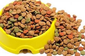 Prevén crezca 2% producción de alimentos balanceados para animales en 2025: Conafab / Por Alicia Valverde   