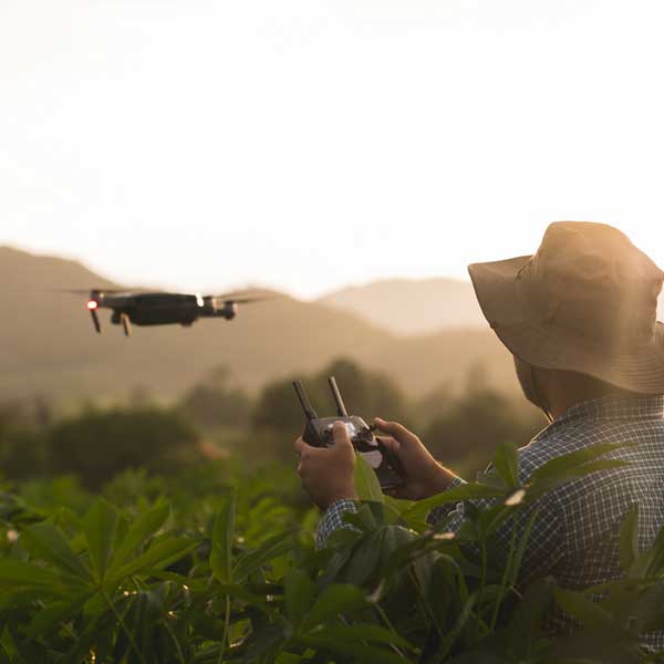 Desarrollan herramienta tecnológica para detección temprana de anomalías en los cultivos