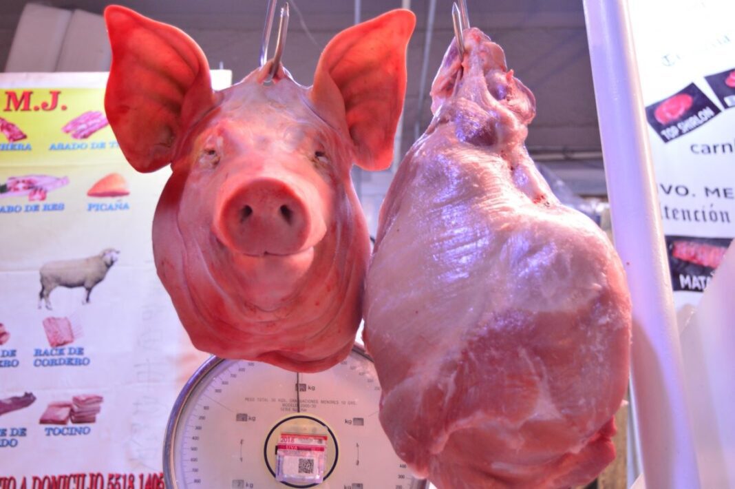 00-CABEZAS-PUERCO-CARNE-REPORTE32MX-1068x710-1