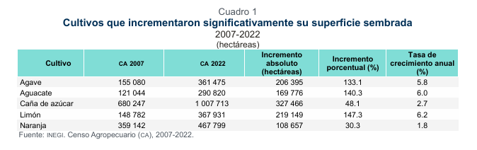 Incrementan en más de 100% la superficie sembrada aguacate y agave en 15 años / Por Alicia Valverde
