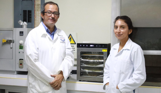 Desarrollan yogurt con probióticos y cáscara del café