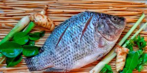 Impulsa Conapesca producción de tilapia y ostión en productores de pequeña escala / Por Alicia Valverde