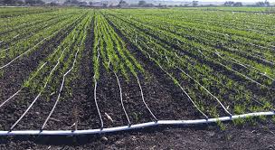 Avala CNA Ley General de Aguas y la reforma a la Ley de Aguas Nacionales / Por Alicia Valverde