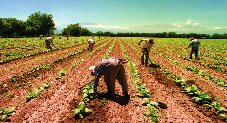 Trazan nuevas rutas para fortalecer la sanidad e inocuidad agroalimentaria