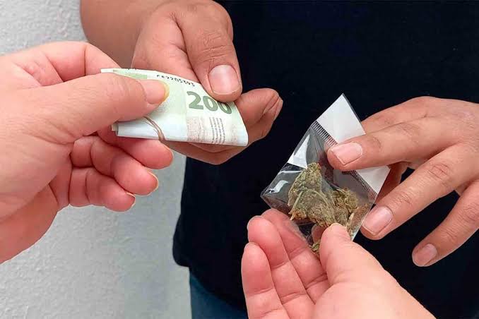 FGE de Quintan Roo detiene en flagrancia a cinco personas por narcomenudeo