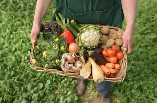 FAO debe demostrar con acciones y resultados que el multilateralismo es lo más eficaz para garantizar la seguridad alimentaria: Sader / Por Alicia Valverde