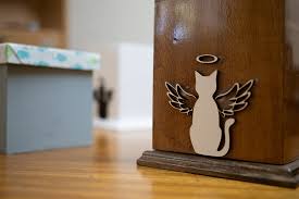 Vinculan en QRoo a proceso a dos sujetos por fraude en cremación de mascotas