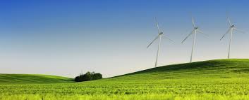 Emite FIRA nuevo bono verde en el mercado bursátil para mitigar cambio climático / Por Alicia Valverde