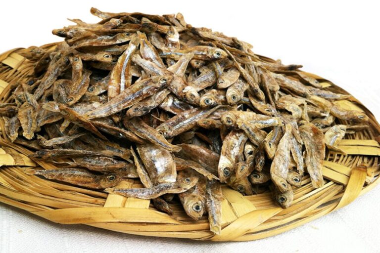 Diseñan dispositivo para secar los charales que se producen en el Lago de Chapala