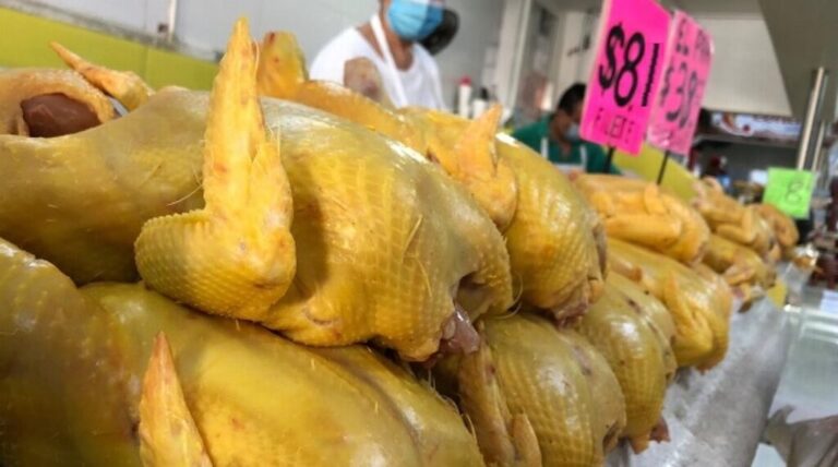 El 49% de la proteína cárnica del país depende del pollo