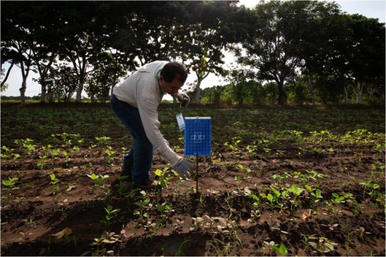 Ofrece Mexsolan herramientas de diagnóstico y manejo sostenible de los suelos agrícolas / Por Alicia Valverde