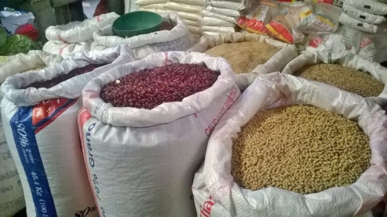 Inicia Sader el proceso de pago de los incentivos a producción para arroz, maíz y trigo / Por Alicia Valverde