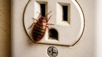 Peña Merino enchinchó a Comisión Reguladora Telecom / Por Mauricio Flores