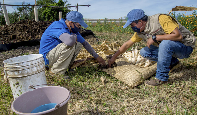 Chapingo reconfigura la formación agronómica; crea carreras con IA en agricultura / Por Alicia Valverde