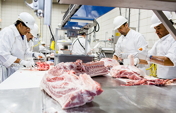 Capacitación, estrategia clave para la industria cárnica