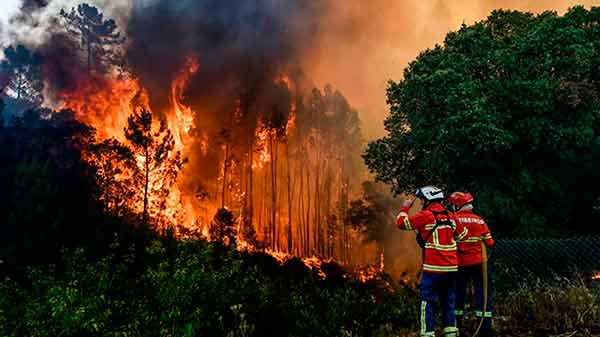 Realizarán Reunión Nacional de Protección Civil por la Temporada de Incendios Forestales 2026