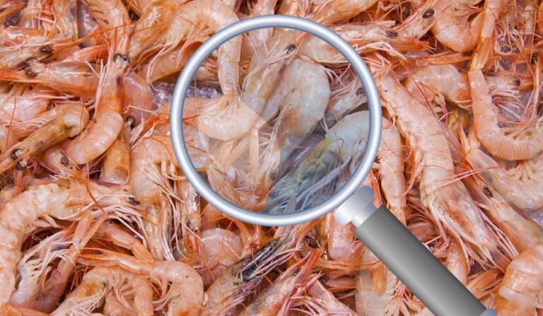 Cuaresma y el alza de precios en mariscos; el caso del camarón / Por Alejandro Durán