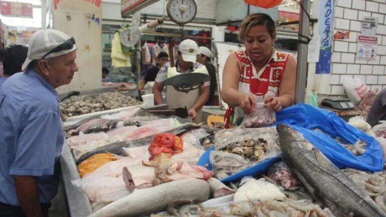 Compara precios: Costos de mojarras con diferencias de 184 % / Por Alejandro Durán
