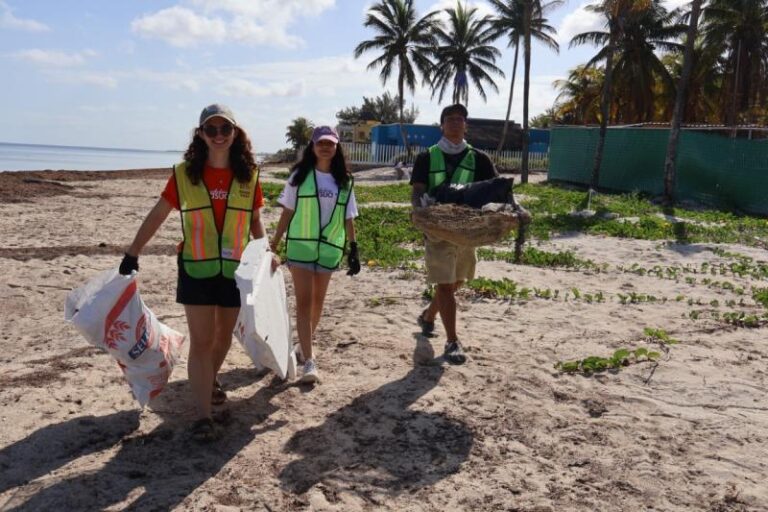 Realizan jornadas de limpieza en playas de Yucatán