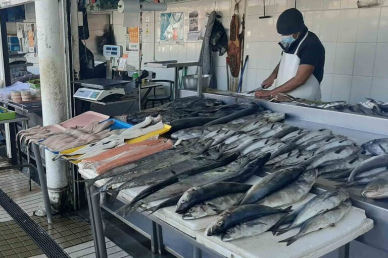 Evita engaños; que no te vendan gato por libre en cuaresma / Por Alicia Valverde