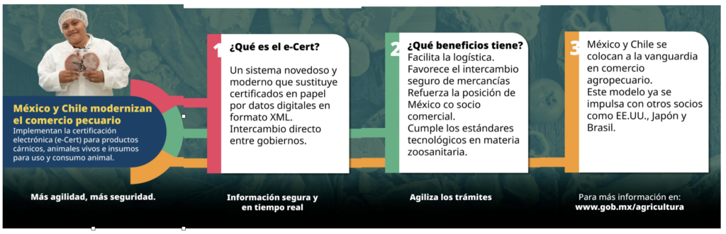 E-CERT-1024x331-1
