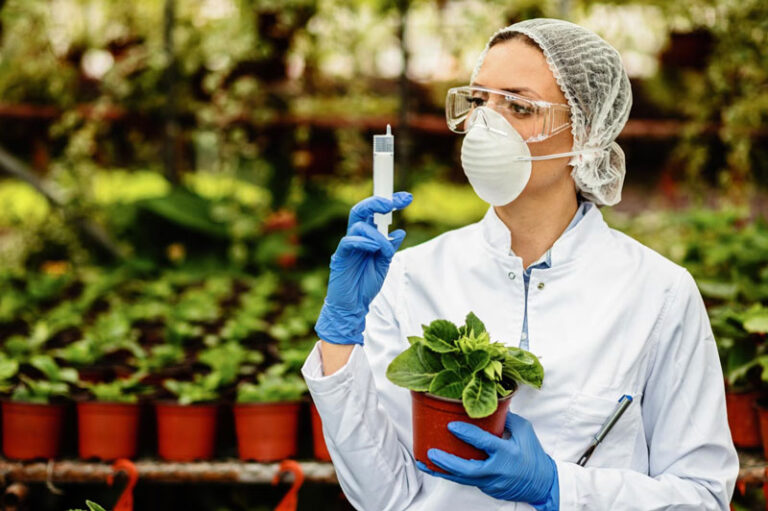 Dos mujeres científicas reciben el Premio Nacional de Sanidad Vegetal 2026 / Por Alicia Valverde