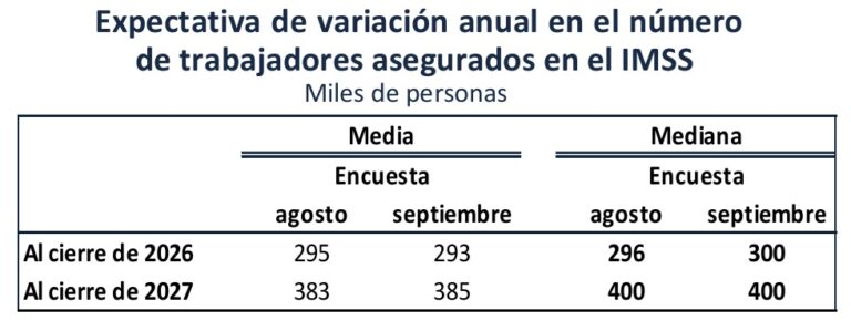 En los primer trieno del gobierno de Sheinbaum no se cubrirán ni siquiera los empleos necesarios en un año / Por Alejandro Durán